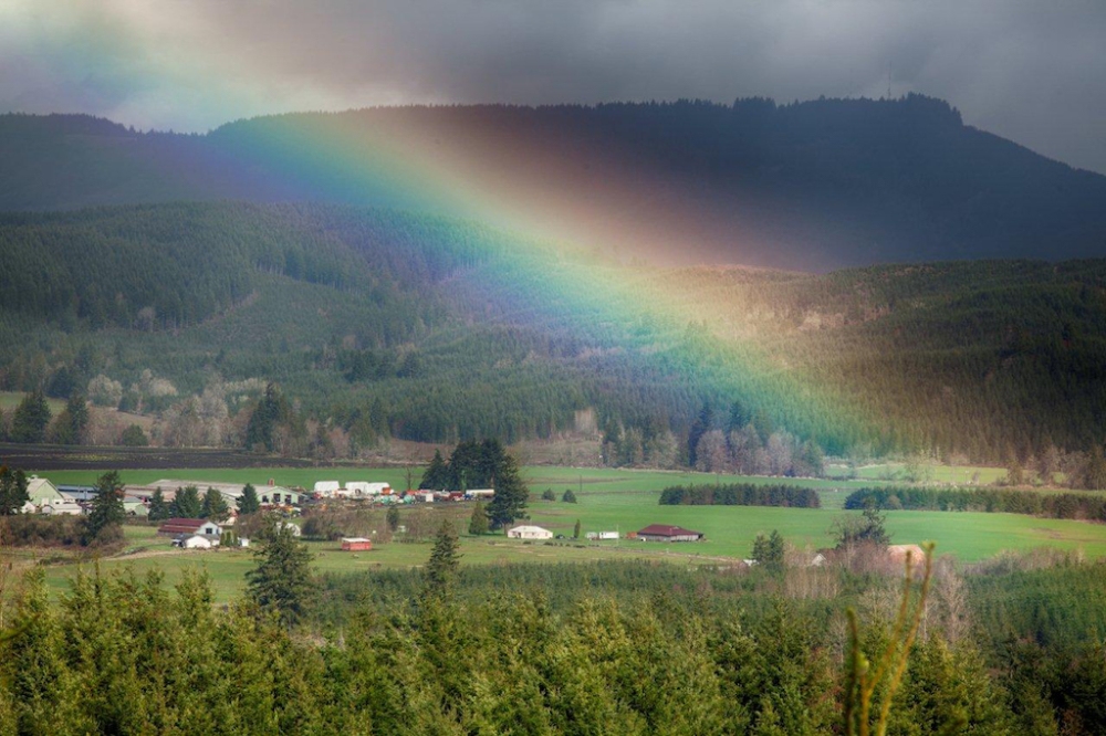 Boisfort-rainbow.jpg